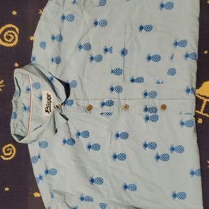 Plugg blue button up shirt